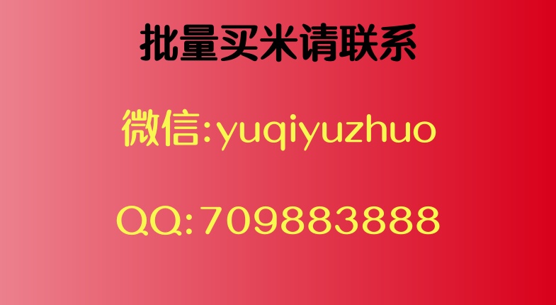 banner图片